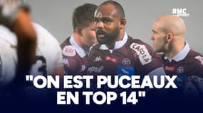 UBB - Toulon : "On est puceaux en Top 14" Poirot appelle à l'humilité