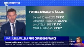 Jusqu'à 32°C...Lille en proie aux fortes chaleurs 