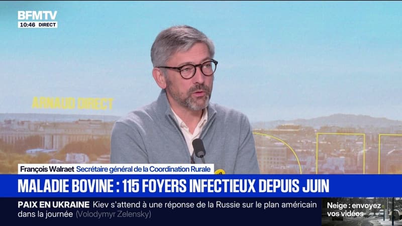 "C'est un peu inquiétant", confie le secrétaire générale de la Coordination rurale après la détection d'un nouveau foyer de DNC