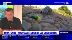 Un chercheur lyonnais participe à une nouvelle étude sur les crocodiles