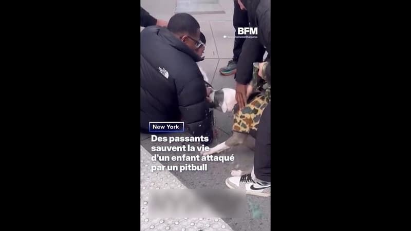 New York: des passants sauvent la vie d'un enfant attaqué par un pitbull