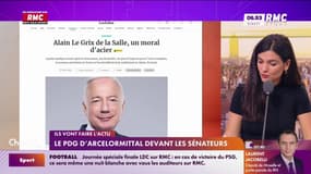 Le PDG d'ArcelorMittal devant les sénateurs