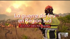 La guerre du feu en Région Sud : le coût des incendies