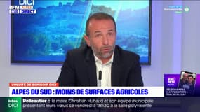 Alpes du Sud: moins de surfaces agricoles