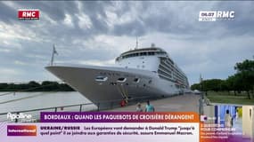 Nice, Bordeaux ... Des élus de plusieurs villes se plaignent des paquebots de croisière géants