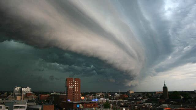 Un arcus photographié en juillet 2004 aux Pays-Bas. Un arcus photographié en juillet 2004 aux Pays-Bas.