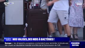 Beaucoup manipulées et rarement nettoyées, nos valises seraient de véritables nids à bactéries 