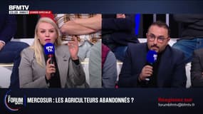 FORUM BFM - Colère agricole:  "Il faut arrêter de dire que vous aimez le monde paysan et faire tout le contraire": échange tendu entre un restaurateur et Hélène Laporte, députée RN 