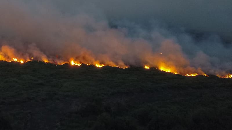 Un feu touchant une forêt brésilienne le 29 octobre 2019.