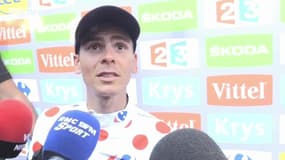 Tour de France – Barguil : "Je vis un rêve"