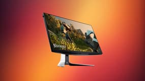 Difficile de dire non face à une réduction pareille sur cet écran PC de la marque DELL