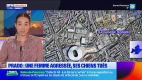 Marseille: une femme agressée chez elle, ses chiens tués