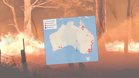 Infographie sur les feux qui ont ravagé l'Australie ces derniers jours.