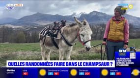 Alpes du Sud: les randonnées à faire dans le Champsaur