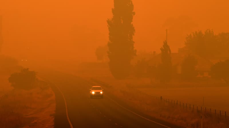 Les incendies ravagent l'Etat de Nouvelle-Galles du Sud, en Australie, le 5 janvier 2020