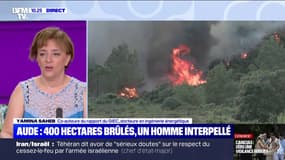 Aude : 400 hectares brûlés, un homme interpellé - 30/06