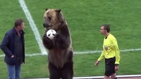 L'ours Tim et l'arbitre de la rencontre