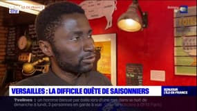 Versailles: le difficile recrutement des saisonniers