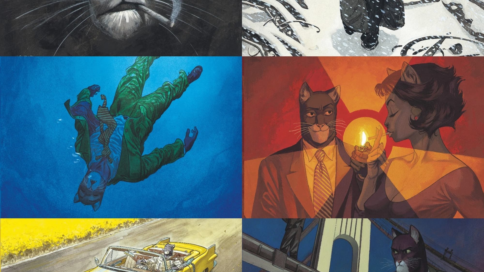 Détails des couvertures des six tomes de "Blacksad"