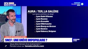 TER en Auvergne-Rhône-Alpes: la situation continue de se dégrader?