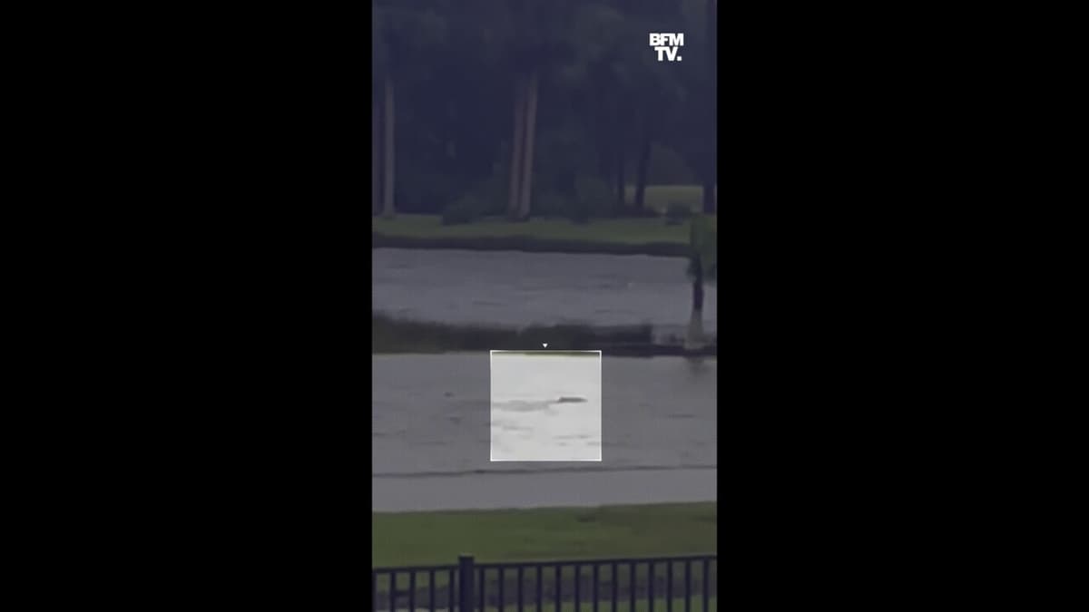 placeholder video