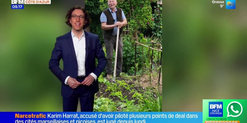 Un peu de cinéma, du jardinage et de la bonne humeur - La météo de Colas du mardi 27 janvier 2026