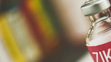 Le virus Zika est un arbovirus de la famille des Flaviridae, transmis à l'homme par les moustiques du genre Aedes.