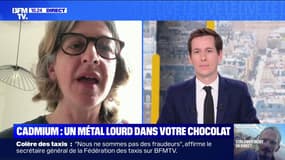 Présence d’un métal lourd dans le chocolat: “Le cacaoyer est vraiment une plante qui absorbe très facilement le cadmium”, alerte Marie-Amandine Stévenin, présidente de l’association UFC-Que Choisir