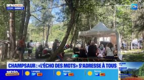 Hautes-Alpes: la 19e édition du festival L'Écho des mots lancée à Pont-du-Fossé