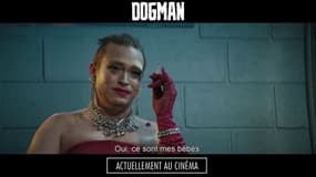La nouvelle bande-annonce de Dogman
