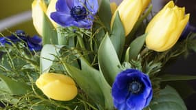 Un bouquet de fleurs composé d'anémones et de tulipes. Photo d'illustration
