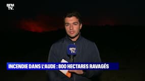Incendie dans l'Aude: 800 hectares ravagés - 24/07