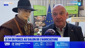 Salon de l'Agriculture: les Alpes-de-Haute-Provence mettent l'agneau de Sisteron à l'honneur