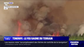 L'incendie sur l'île espagnole de Tenerife continue de gagner du terrain, forçant les autorités à procéder à des évacuations