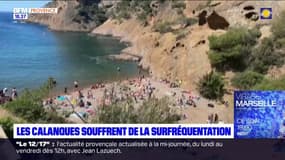 Les calanques souffrent de la surfréquentation