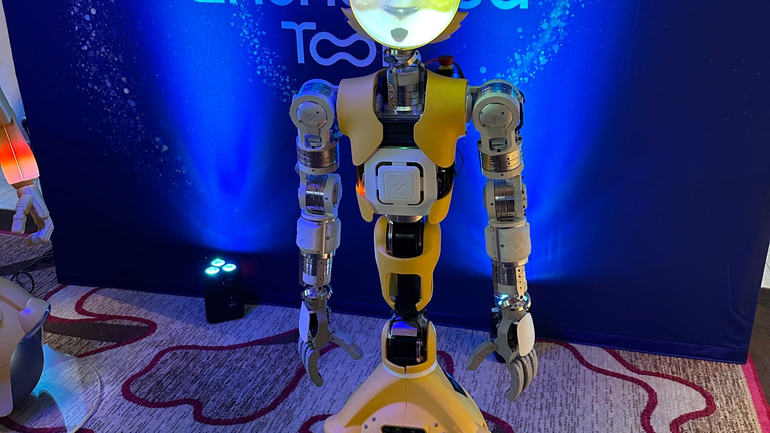 Miroki, le robot qui veut apporter du merveilleux