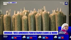 Cannabis: 1893 amendes forfaitaires dressées dans le Nord 