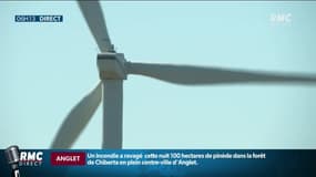Nouvelle-Aquitaine: le parc éolien grandissant inquiète les associations et les acteurs du tourisme