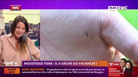 Moustique tigre : il a gâché les vacances !