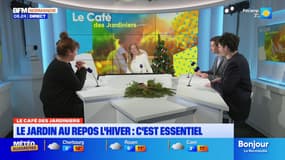 Le Café des Jardiniers: une période de repos pour le jardin en hiver