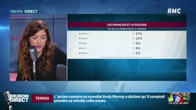 "Méfiance" et "dégoût": quand les Français parlent de la politique
