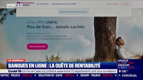 Banques en ligne: la quête de rentabilité