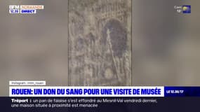 Rouen: une collecte de sang organisée au musée des beaux-arts 