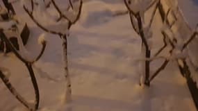 Chute de neige en Alsace - Témoins BFMTV