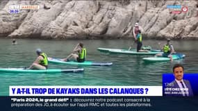 Le parc national des calanques veut mieux encadrer la présence des kayaks