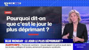 Pourquoi le "Blue Monday" est-il considéré comme le jour le plus déprimant de l'année? BFMTV répond à vos questions