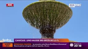 Canicule: selon Santé publique France, 480 décès ont été enregistrés, une hausse des décès de 5,5%