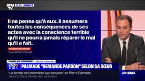  Palmade : la famille victime "insensible aux excuses" - 14/02