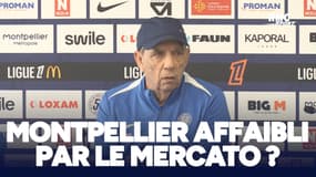 Ligue 1 : Malgré les départs d'Adams, Tamari et Nordin, Montpellier ne s'est pas affaibli en attaque selon Gasset