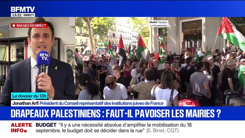 Drapeaux palestiniens sur les mairies: 